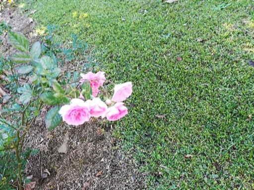 L'Estagnon Acomodação com café da manhã La Plaine des Cafres Exterior foto